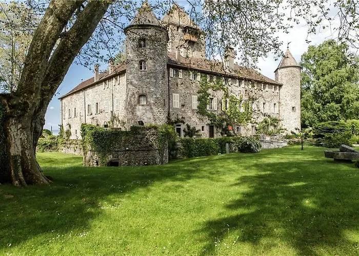 Chateau De Coudree - Les Collectionneurs