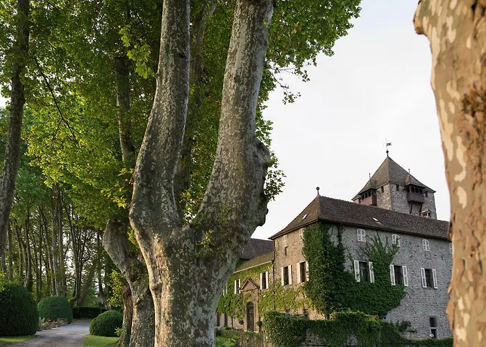 Chateau De Coudree - Les Collectionneurs Szálloda Sciez